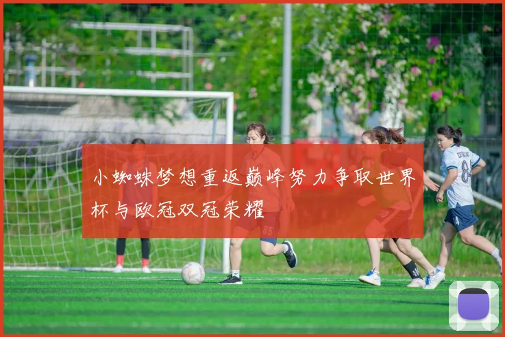 小蜘蛛梦想重返巅峰努力争取世界杯与欧冠双冠荣耀