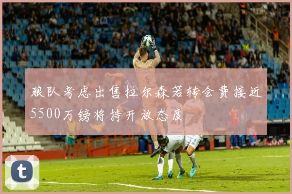 狼队考虑出售拉尔森若转会费接近5500万镑将持开放态度