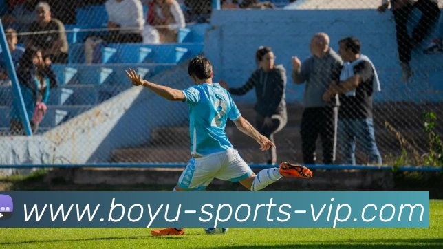 博鱼体育平台生态图