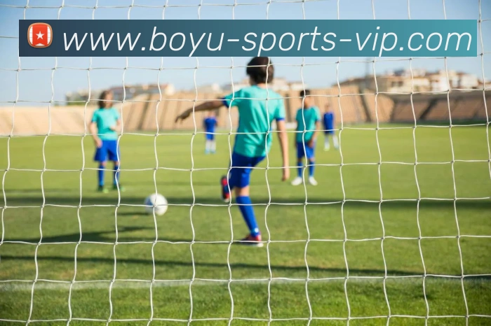 博鱼体育APP 封面图