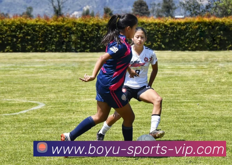 数据防护可视化